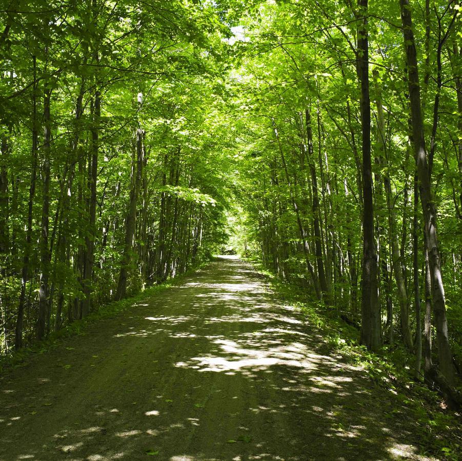 Forks Of The Credit Inn Orangeville Bagian luar foto